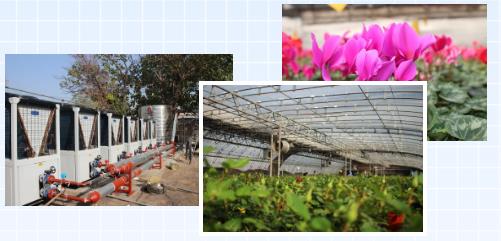 1609132600699015.jpg 2.jpg